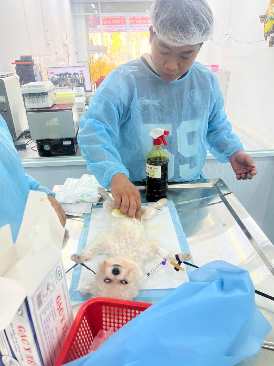 Bệnh viện - Ảnh 1