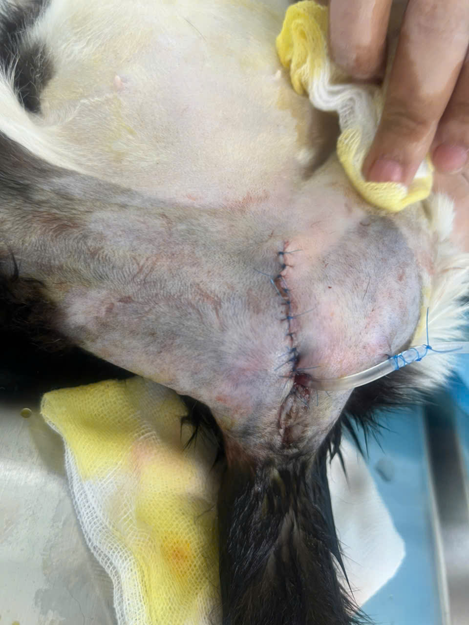 Bệnh viện - Ảnh 2