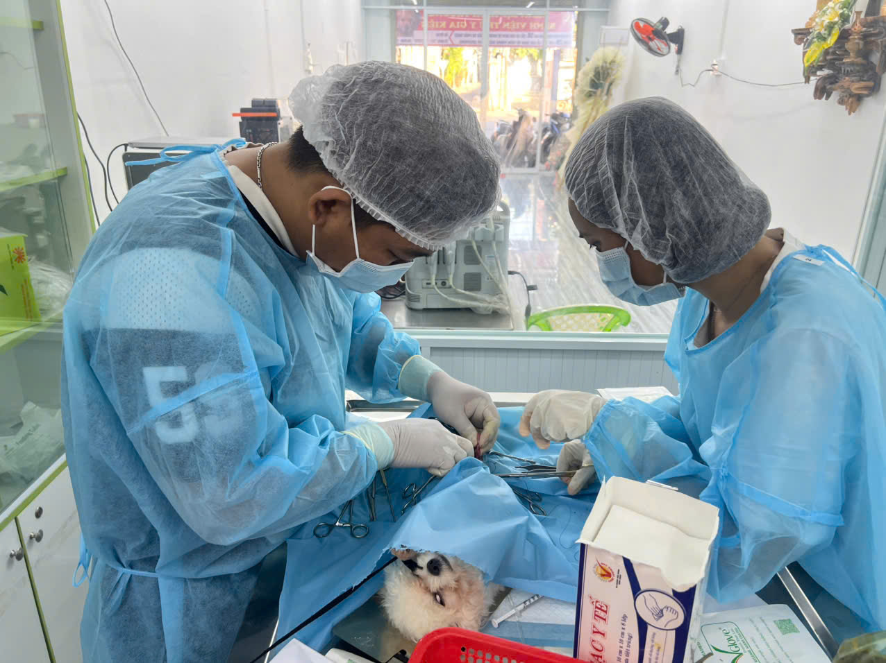 Bệnh viện - Ảnh 3