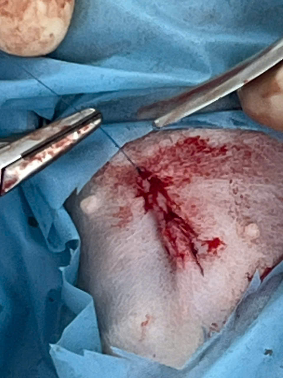 Bệnh viện - Ảnh 10