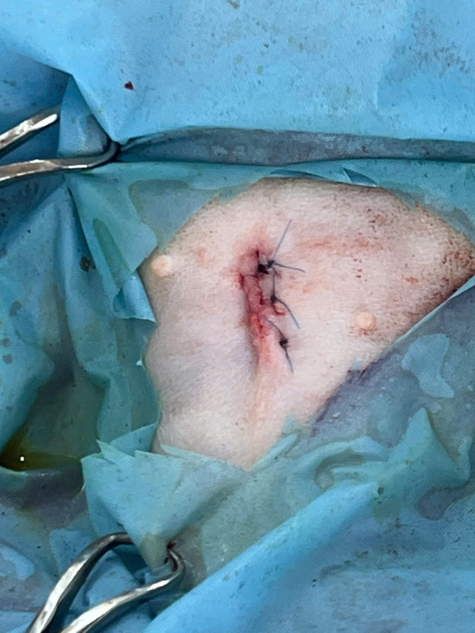 Bệnh viện - Ảnh 12