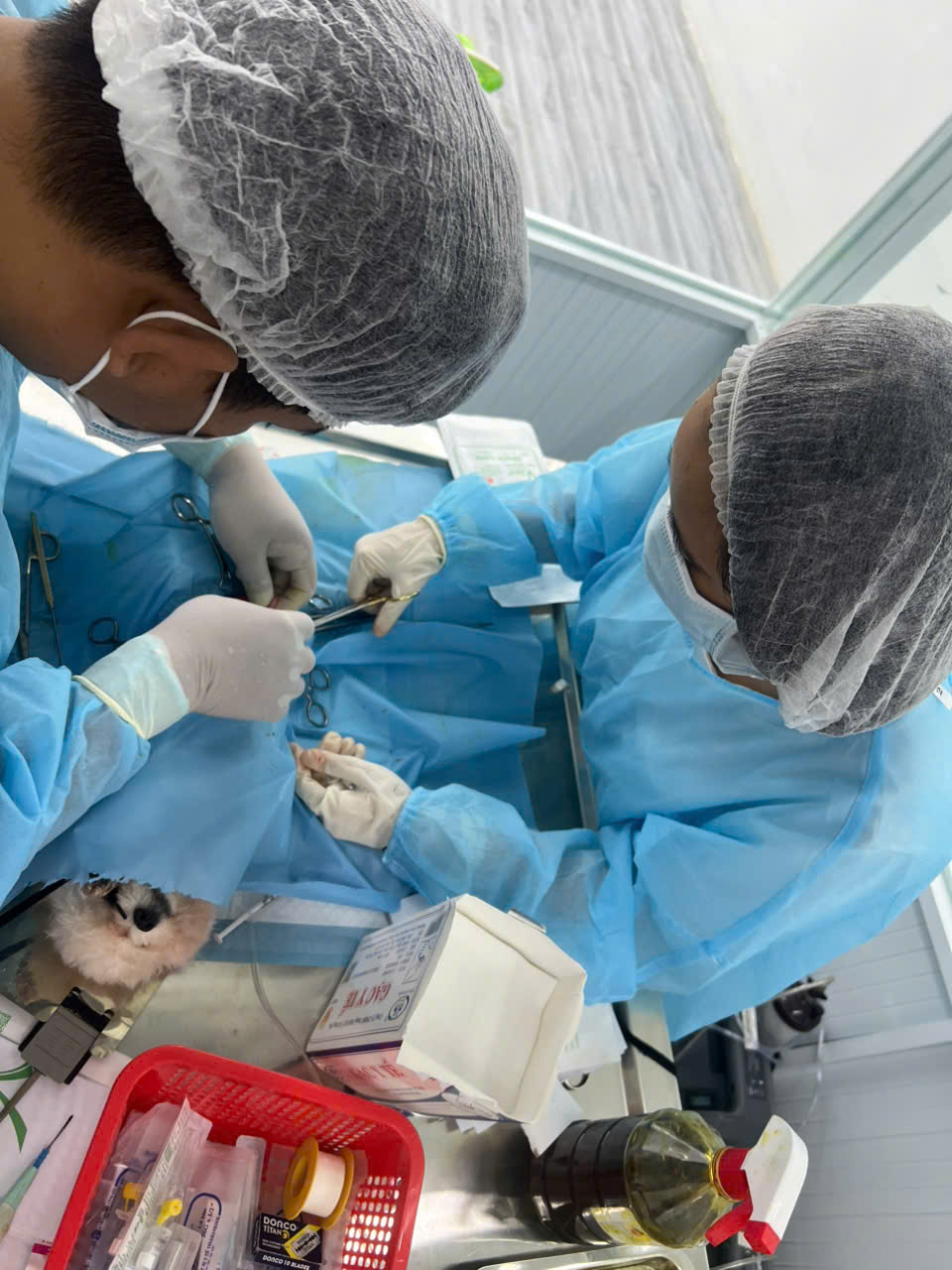 Về Bệnh viện Thú Y Gia Kiệm